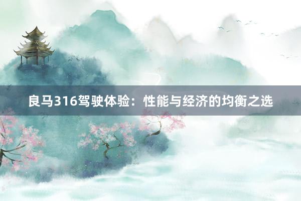 良马316驾驶体验：性能与经济的均衡之选